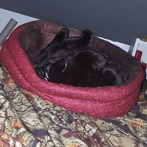 Meet your Posher, Tracy